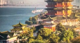 郑钦文伤病康复路：备战中国赛季，迎接新篇章